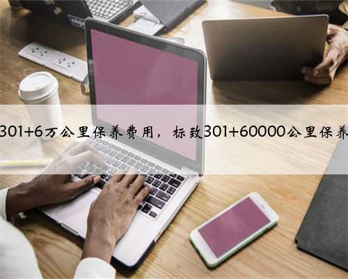 标致301 6万公里保养费用，标致301 60000公里保养项目