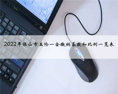 2022年保山市五险一金缴纳基数和比例一览表
