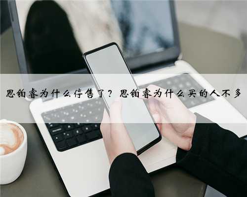 思铂睿为什么停售了？思铂睿为什么买的人不多
