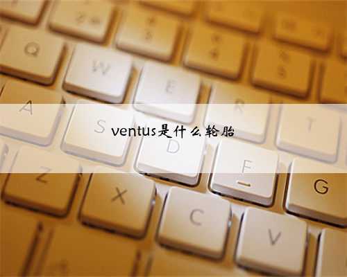 ventus是什么轮胎