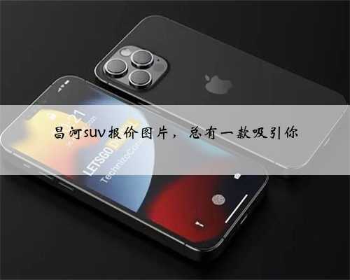昌河suv报价图片,总有一款吸引你