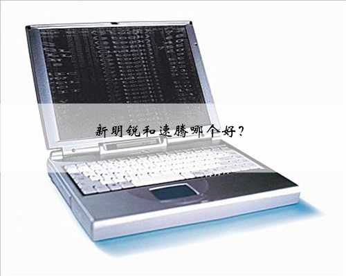 新明锐和速腾哪个好?