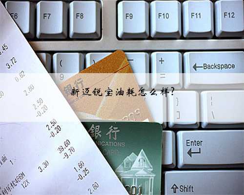 新迈锐宝油耗怎么样?