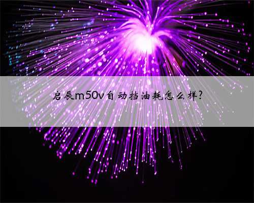 启辰m50v自动挡油耗怎么样?