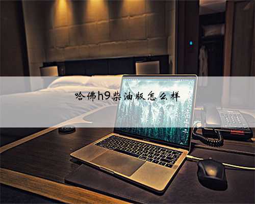 哈佛h9柴油版怎么样