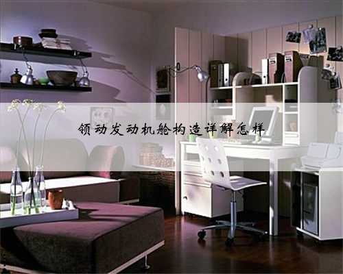 领动发动机舱构造详解怎样