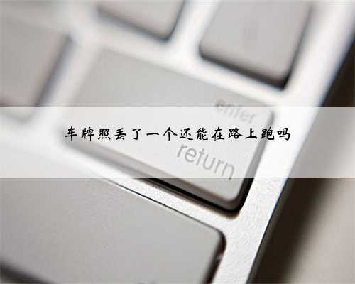 车牌照丢了一个还能在路上跑吗
