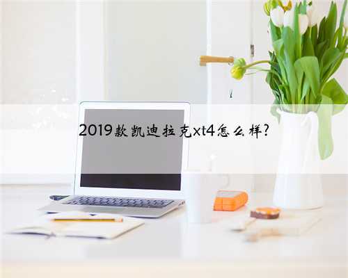 2019款凯迪拉克xt4怎么样?