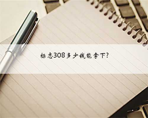 标志308多少钱能拿下?