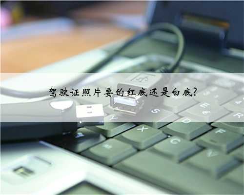 驾驶证照片要的红底还是白底?