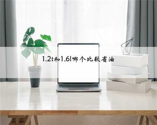 1.2t和1.6l哪个比较省油