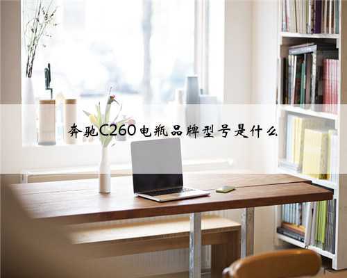 奔驰C260电瓶品牌型号是什么