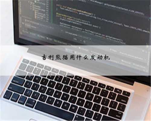 吉利熊猫用什么发动机