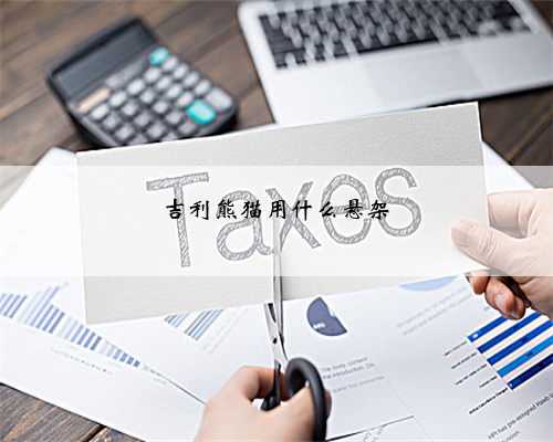 吉利熊猫用什么悬架