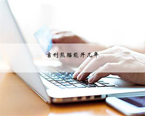 吉利熊猫能开几年