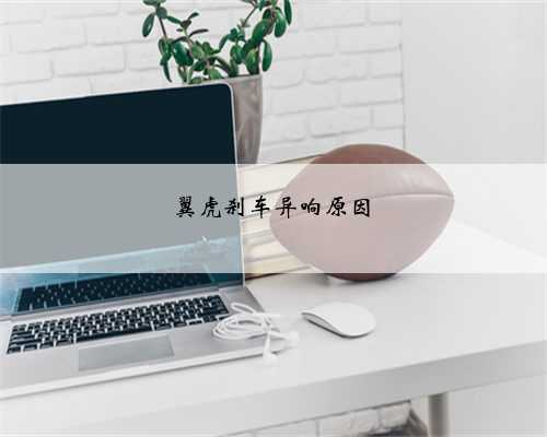 翼虎刹车异响原因