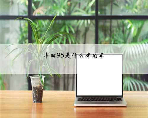 丰田95是什么样的车