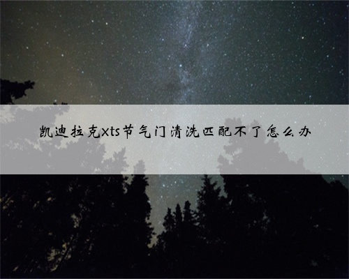 凯迪拉克xts节气门清洗匹配不了怎么办