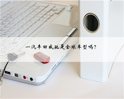 一汽丰田威驰是全球车型吗?