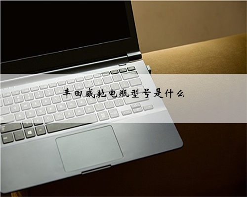 丰田威驰电瓶型号是什么