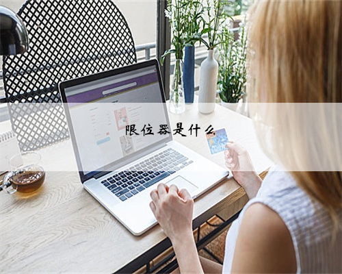 限位器是什么