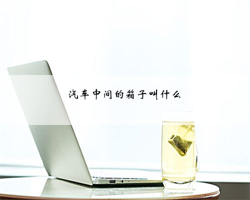 汽车中间的箱子叫什么