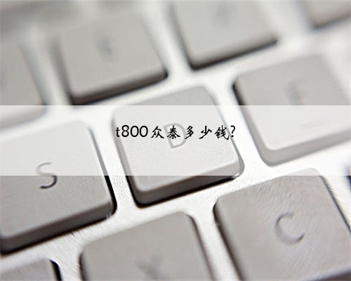 t800众泰多少钱?