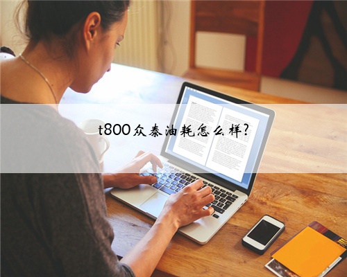 t800众泰油耗怎么样?
