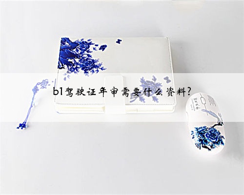 b1驾驶证年审需要什么资料?
