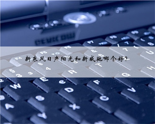新东风日产阳光和新威驰哪个好?