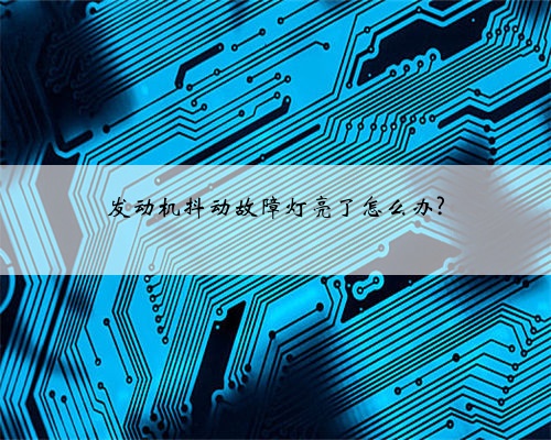 发动机抖动故障灯亮了怎么办?