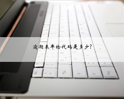 逾期未年检代码是多少?
