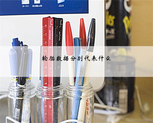 轮胎数据分别代表什么