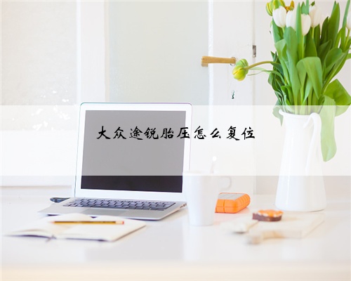 大众途锐胎压怎么复位