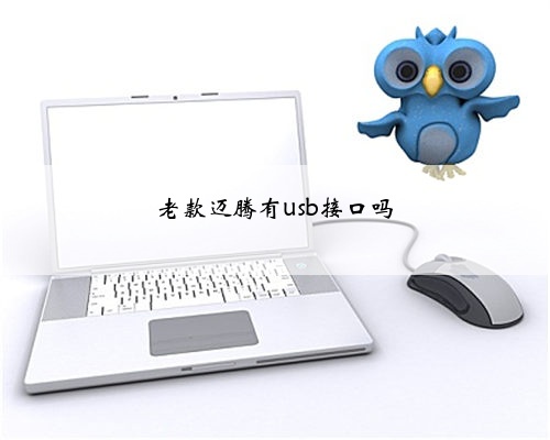 老款迈腾有usb接口吗