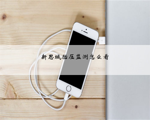 新思域胎压监测怎么看