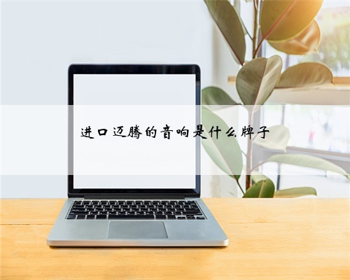 进口迈腾的音响是什么牌子