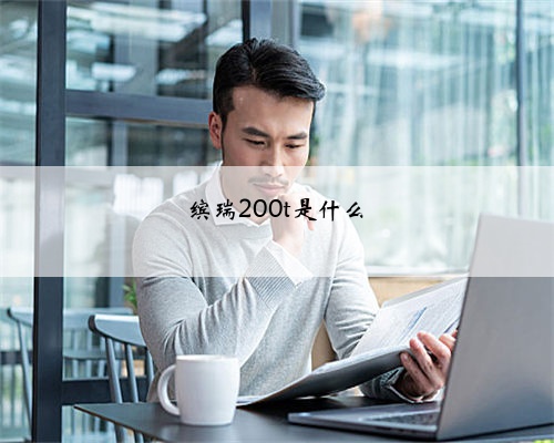 缤瑞200t是什么