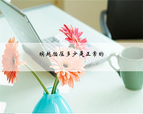 缤越胎压多少是正常的