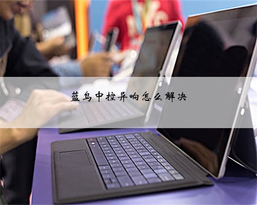 蓝鸟中控异响怎么解决