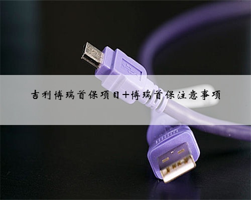 吉利博瑞首保项目 博瑞首保注意事项