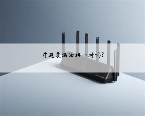 前避震漏油换一对吗?
