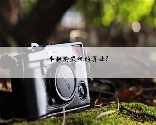车辆购置税的算法?