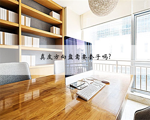 真皮方向盘需要套子吗?
