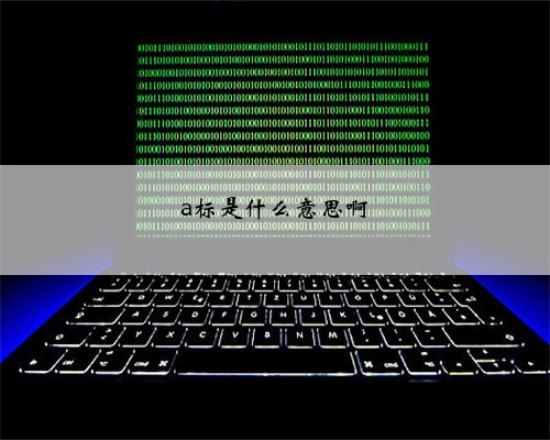 a标是什么意思啊