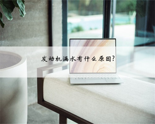 发动机漏水有什么原因?