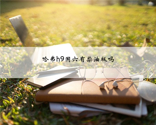 哈弗h9国六有柴油版吗