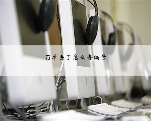 罚单丢了怎么查编号