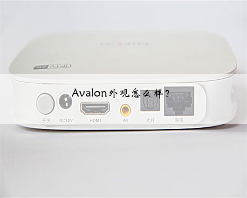 Avalon外观怎么样？