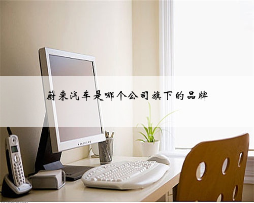 蔚来汽车是哪个公司旗下的品牌